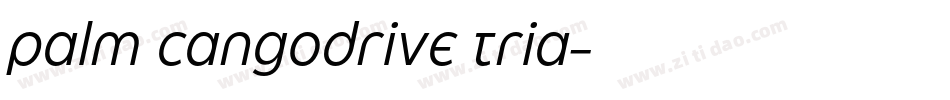 palm cangodrive tria字体转换